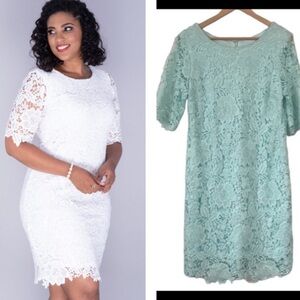 SANDRA DARREN EMBROIDERED LACE Crochet SHEATH DRESS size 12 mint
